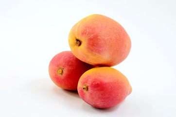 Red mango on white background