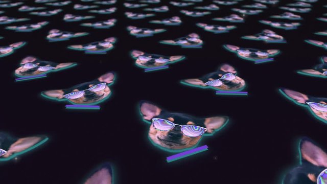Dog chihuahua happy faces gif animation, motion design pattern in 3d with color background, fashion promo or nightclub vj art perfomance