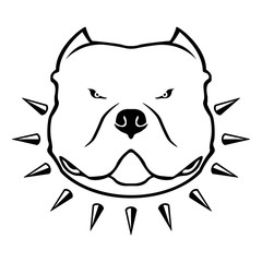 American bully dog's head in collar with spikes. Bully dog emblem on white background. Vector illustration.
