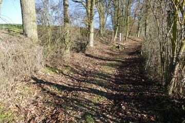 Rekonstruierte römische Strasse in Dill / Hunsrück