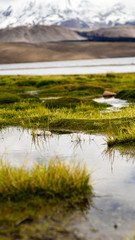 Obraz premium landscape with lake