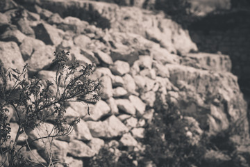 ruins of an old Sicilian castle