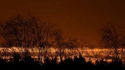 Fototapeta premium Dawn impressions in Falkensee near Berlin Spandau on March 10, 2020, Germany