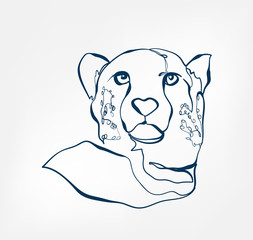 cheetah vector animal wild one line design