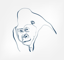 gorilla vector animal wild one line design