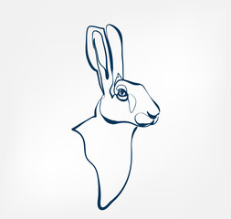 hare vector animal wild one line design © CharlieNati