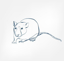 rat vector animal wild one line design