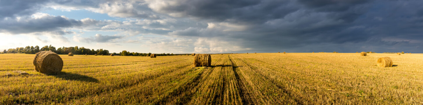 Scene with haystacks on the field in autumn sunny day. Rural landscape with cloudy sky background. Golden harvest of wheat in evening. Panorama.