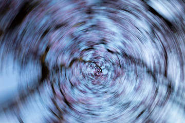 Blue Jacaranda trees in bloom with a zoom warp lens distortion effect