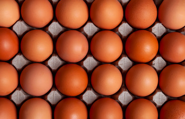 Brown chicken eggs in carton box made of recycled waste paper background . Top view with copy space. Organic farming concept
