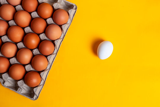 Brown chicken eggs and one white agg in carton box made of recycled waste paper on yellow background. Top view with copy space. Organic farming concept