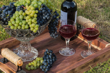  A bottle of red wine, two glasses and a vase with twigs of grapes on a wooden tray on a green lawn.