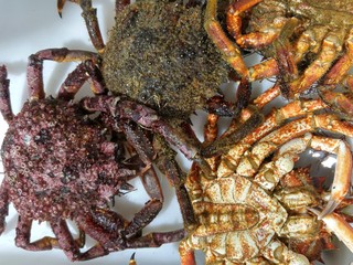 Frische Krabben in der Markthalle von Santiago de Compostela in Spanien