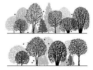 Black silhouettes of trees on a white background. Winter forest. Summer forest. Set of silhouettes of different trees. Hand-drawn