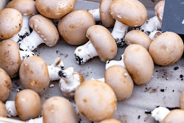 Market stalls with champignons. Food. Selective focus.