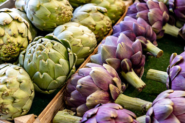Fototapeta premium Close up of many globe artichokes.