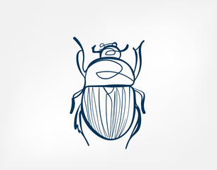 beetle insect vector art line isolated doodle illustration