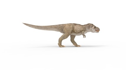 3D rendering of a T rex dinosaur isolated on white background