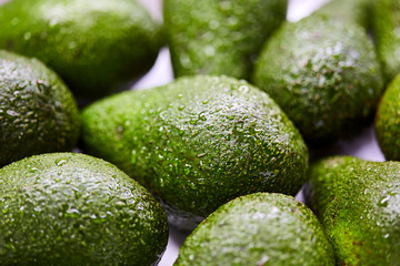 Fresh tropical avocado fruit with water drops close up (Macro shot)