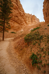 hiking the navajo loop in bryce canyon national park in utah in the usa