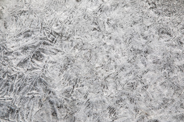 Ice on the shore of the Gulf of Finland.