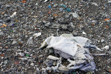 Garbage at a landfill site