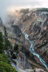 sunrise at yellowstone