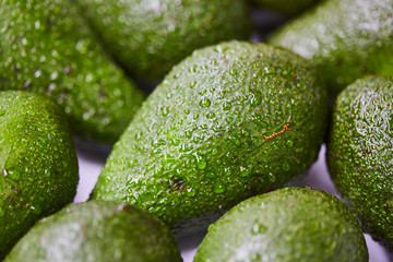 Fresh tropical avocado fruit with water drops close up (Macro shot)