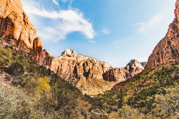 Zion Landscape