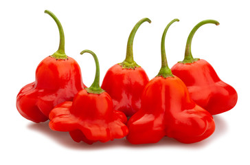 bishop's crown pepper