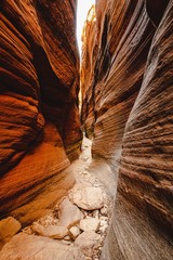Slot Canyon Walk