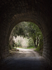 Obraz premium Tunnel of the old railway