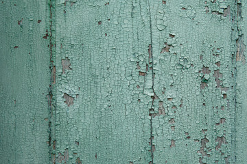 Peeling paint on old weathered wall texture. Pattern of rustic blue material.