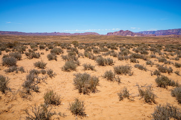 looking at colorado river from horseshoe bend in arizona, usa