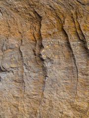 Rock detail with yellow colors and cracks