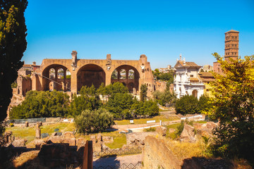 Ruins of the buildings of the ancient Roman Forum in the city of Rome. Italy