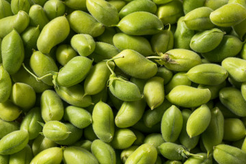 Raw Green Organic  Garbanzo Beans
