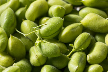 Raw Green Organic  Garbanzo Beans