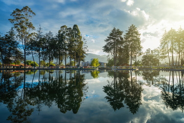 lagoon tree reflections