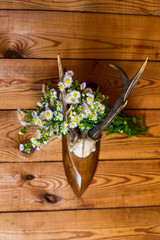 Deer horns and daisies on a wooden wall