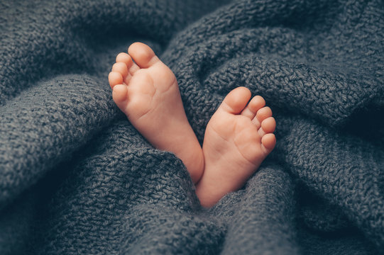 Soft Newborn Baby Feet Against A Dark Grey Blanket, Closeup.