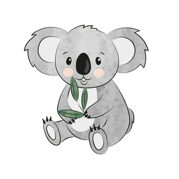 Cute cartoon koala eating eucalyptus. Vector watercolor illustration.