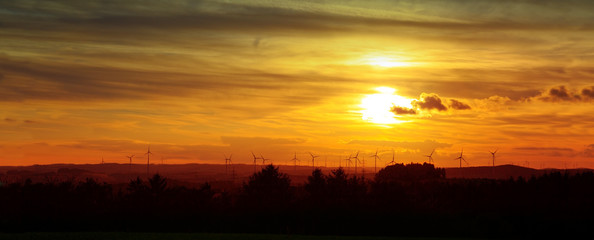 Sunrise over black forest mist.