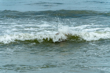 Surf on a beach in Alicante. Spain