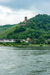 Fototapeta na wymiar Germany, Rhine Romantic Cruise, a bridge over a body of water