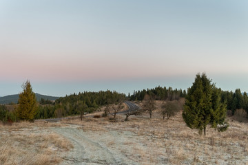 Mountain landscape with rocks and trees