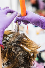 A vertical closeup shot of a hairdresser dying a woman's short hair in a beauty salon