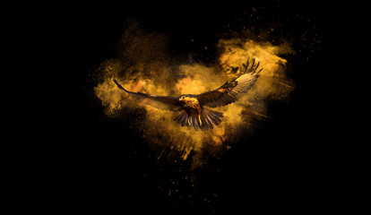 Bird. Dispersion, splatter effect. Black background.