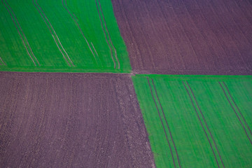 Detail Of Greenfield And Brownfield Squares