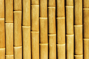 Yellow color bamboo stick background. Asian natural jungle fence wall.